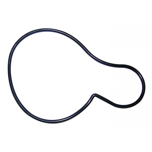 Water Pump Gasket