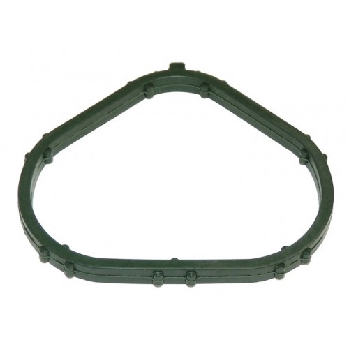 Intake Manifold Gasket