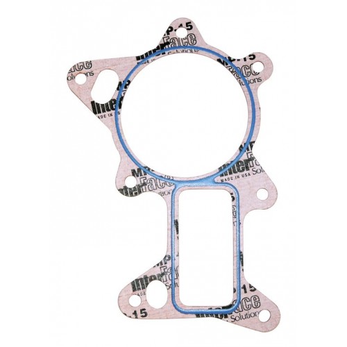 Water Pump Gasket