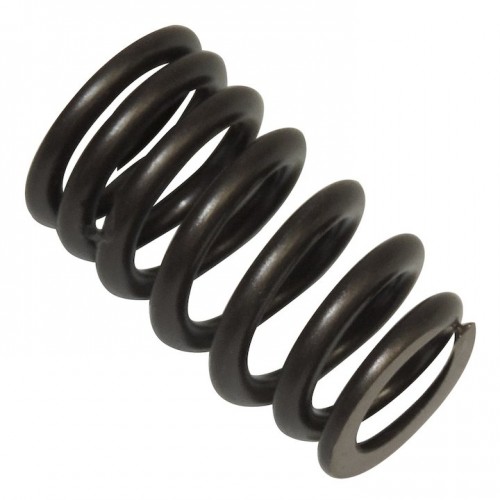 Valve Spring