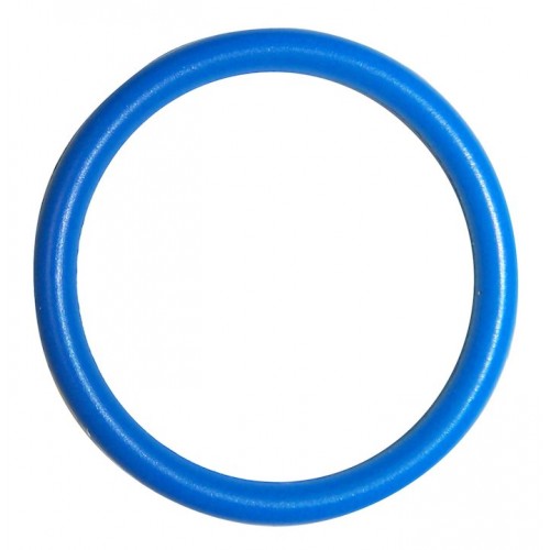 Oil Pickup Tube O-Ring