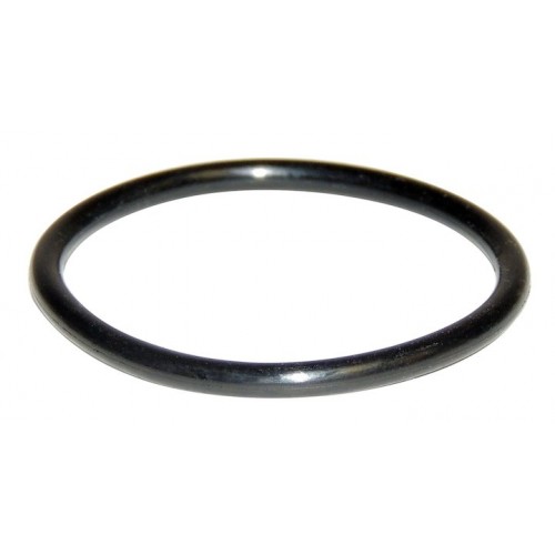 PCV Valve O-Ring