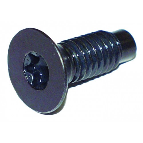 Windshield Hinge Screw