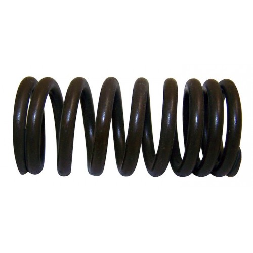 Valve Spring