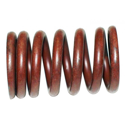 Valve Spring