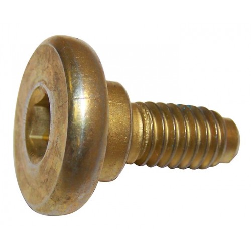 Brake Caliper Screw