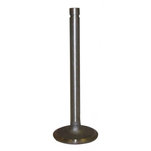 Intake Valve