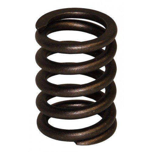 Valve Spring